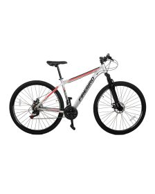 Bicicleta Fire Bird R29 MTB