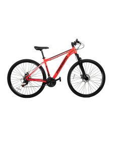 Bicicleta Fire Bird R29 MTB