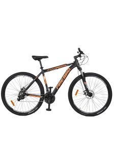 Bicicleta Fire Bird R29 MTB