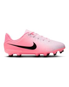 Botines Nike Legend 10 Academy FG/MG Jr