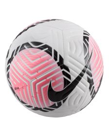 Pelota Nike Academy