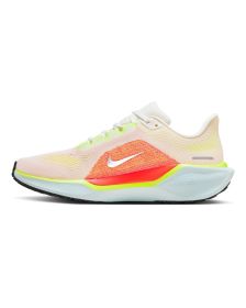 Zapatillas Nike Pegasus 41