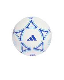 Pelota Adidas AFA Club 2024