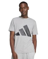 Remera Adidas Essentials Big Logo